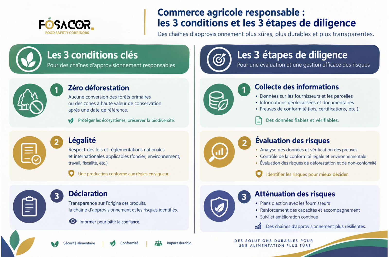 Infographie présentant les trois conditions et les trois étapes de la diligence des chaînes d’approvisionnement agricoles